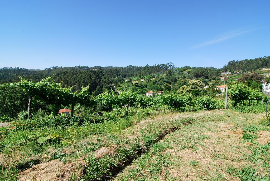 Quinta Do Alto Villa Celorico De Basto Exterior photo