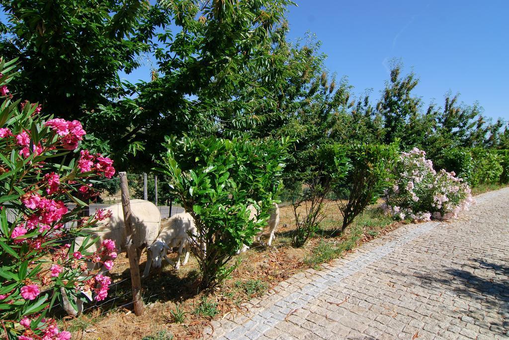 Quinta Do Alto Villa Celorico De Basto Exterior photo